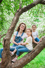 The family sits in a tree in blooming apple blossom garden.