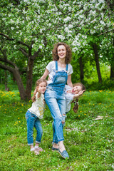 Family walks in blooming apple orchard in spring