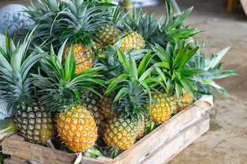 Close up of Fresh Pineapples.