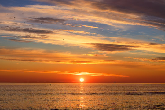 Fototapeta Beautiful sunrise over the sea. Clouds and flying seagulls. 