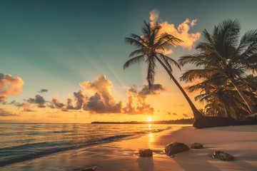 Tropischer Strand in Punta Cana, Dominikanische Republik. Palmen auf sandiger Insel im Ozean.