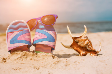 Fototapeta na wymiar Flip-flops in sand on beach. Sunglasses on it. Summer vacation concept. Sea shore. Paradise. Sea shell lying on sand.