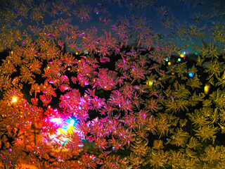 Macro closeup on the structure of ice and snow crystals on frozen glass - frost