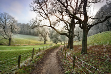 Walking path leading into beautiful rural landscape in winter