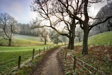 Wanderweg, der im Winter in eine wunderschöne ländliche Landschaft führt © Smileus