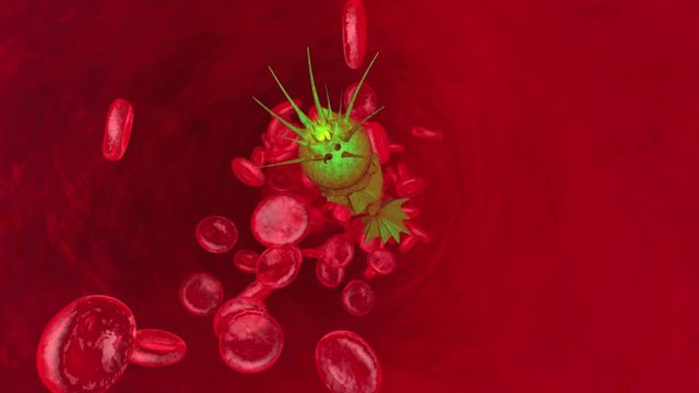 Parasite floating in the blood stream. 3D rendered animation.
