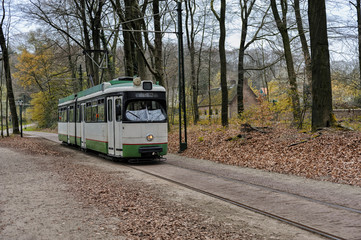 Plakat tram rides through the spring park