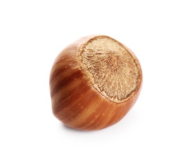 Hazelnut isolated on white background