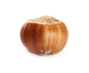 Hazelnut isolated on white background