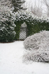 Home garden covered by snow in winter season