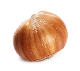 Hazelnut isolated on white background