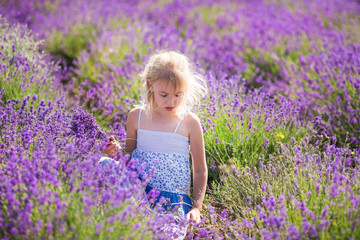 Fototapeta na wymiar Blonde girl in the colour dress in the field of lavander with a small bouqet in her hands