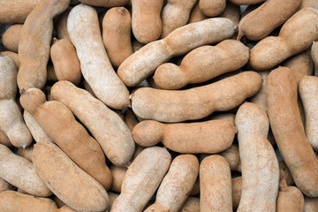 Group of ripe tamarind pods