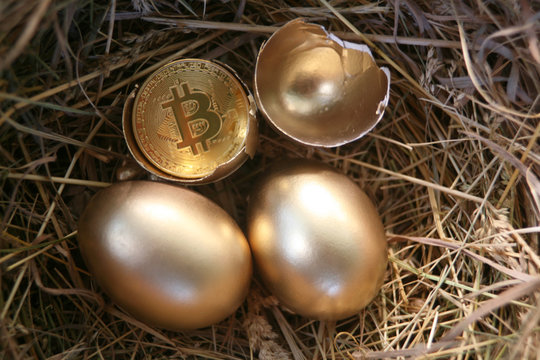 bitcoin in the shell of a Golden egg