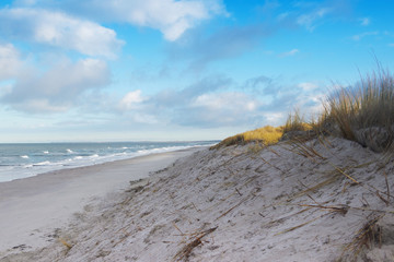 coast baltic sea in winter