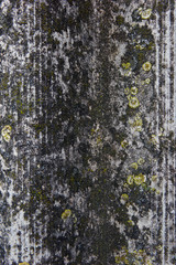 Obraz premium texture and background