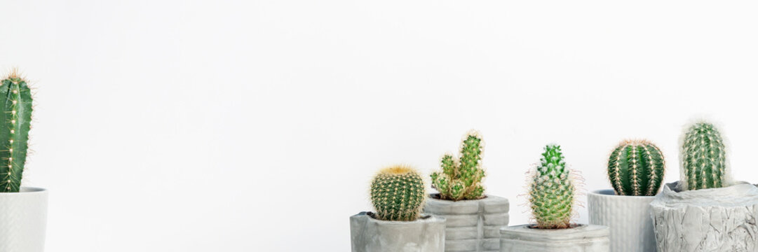 Cactuses in DIY concrete pots against the background of an empty wall with space for text. Copy space. Panoramic real photo