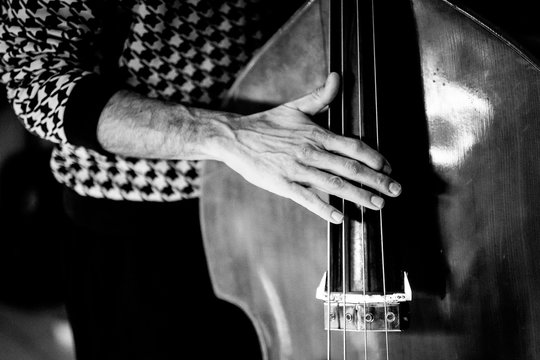 Mains d'un musicien qui joue de la contrebasse