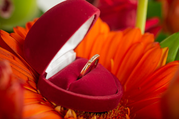 Engagement ring in red box on gerbera flower