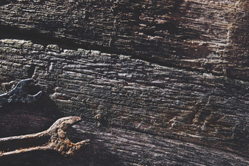 Fototapeta premium rusty tools