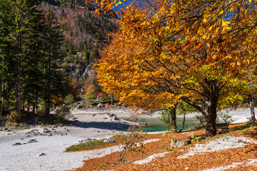 Fototapeta na wymiar Predil lake dressed in autumn colors. Magical Tarvisio