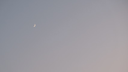 Crescent Moon in a clear sky