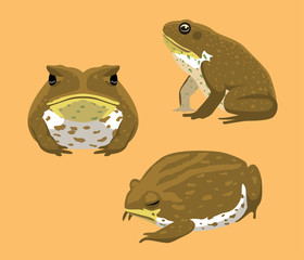 Australian Animal Cane Toad Cartoon Vector Illustration