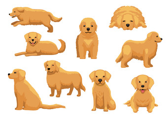 Cute Dog Golden Retriever Nine Poses Cartoon Vector Illustration