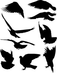 nine isolated black doves silhouettes