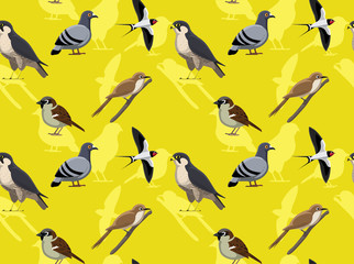 Random American Bird Swallow Peregrine Falcon Pigeon Sparrow Cuckoo Birds Wallpaper 7