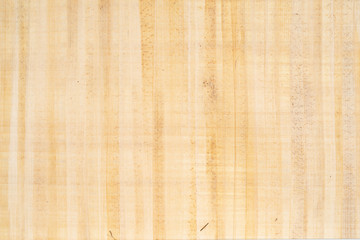 Antique papyrus as background, paper texture