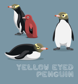 Yellow-eyed Penguin Cartoon Vector Illustration