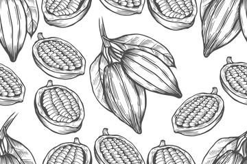 Vector Cocoa tree illustration - obrazy, fototapety, plakaty