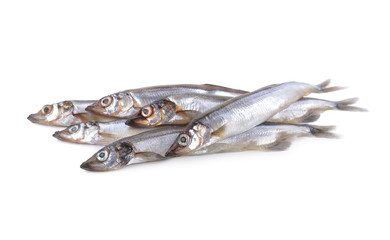 pile of whole round fresh shishamo fish on white background