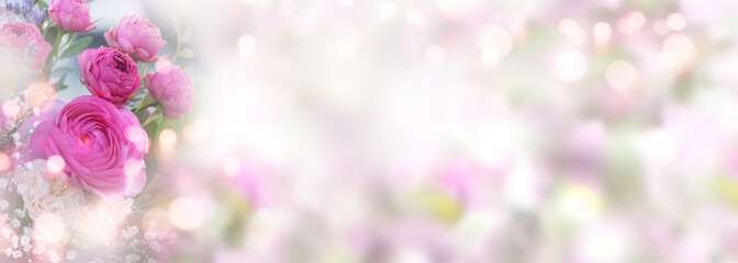 Roses on pastel colored spring background