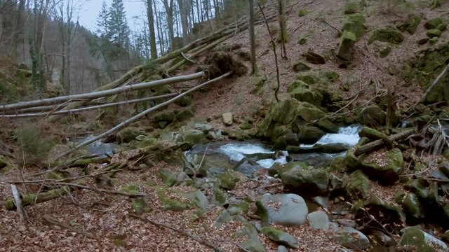 Admiring a beautiful crystalline creek along a trail in Vintgar. Bistriski Vintgar Slovenia. Moving camera