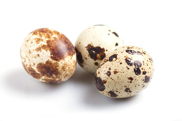 quail eggs isolated on white  background.