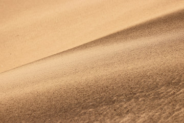 Coastal dune texture
