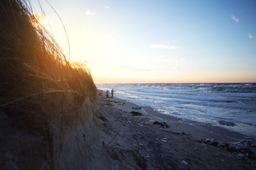 walk at baltic sea in winter