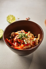 Chinese noodles with chicken and sauce