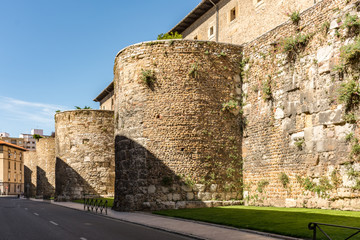 Fototapeta na wymiar Wall of the city of Leon in Spain, Asturian style lions