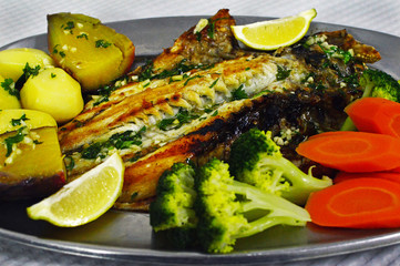 Fototapeta na wymiar Fish dishes of Dorada (Sparus aurata)