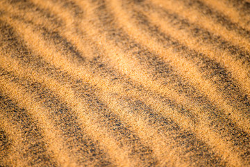 Fototapeta na wymiar Sand of a beach with patterns