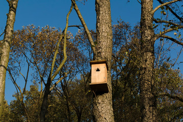 House for the birds in the tree