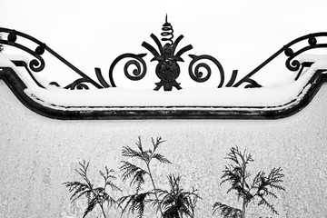 Silhouette of fern leaves against snowed stone fence with iron decoration on top, black and white image