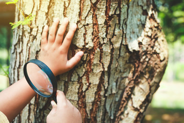 The students hold a magnifying glass to study, learn nature.