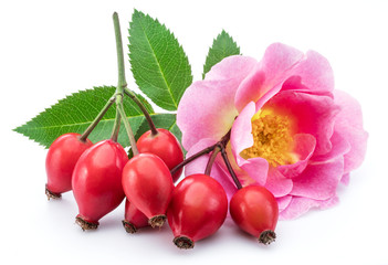 Rose hips with rose leaves isolated on a white background.