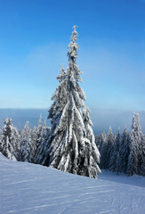 empty ski slope on a mountain in the morning