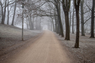  Parklandschaft in Leipzig im Winter mit frostigen nebeligen Wetter vereisten Bäumen
