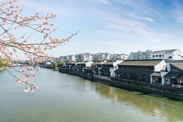 Flowers Blooming on Trees，Beautiful old town in Hangzhou, China